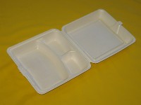 Foam Container