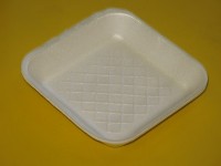 Foam Tray